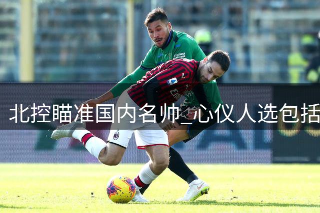 北控瞄准国内名帅 心仪人选包括闵鹿蕾王非等